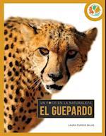 Guepardo