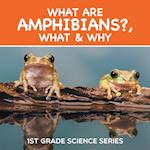 What Are Amphibians?, What & Why
