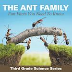 The Ant Family - Fun Facts You Need To Know