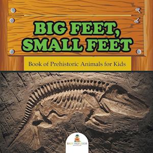 Big Feet, Small Feet