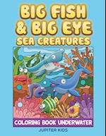 Big Fish & Big Eye Sea Creatures