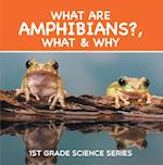 What Are Amphibians?, What & Why : 1st Grade Science Series