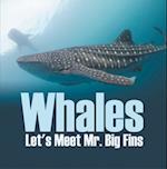 Whales - Let's Meet Mr. Big Fins