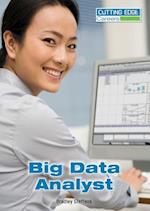 Big Data Analyst