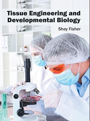 Tissue Engineering and Developmental Biology