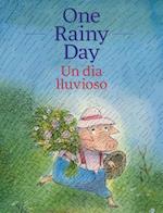 One Rainy Day / Un día lluvioso
