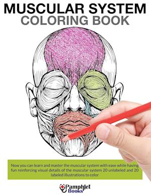 Muscular System Coloring Book