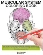 Muscular System Coloring Book