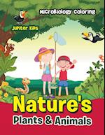 Nature's Plants & Animals