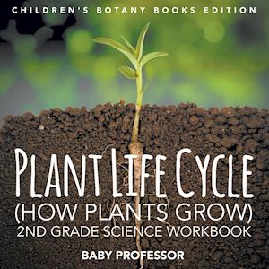 Plant Life Cycle (How Plants Grow)