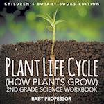 Plant Life Cycle (How Plants Grow)