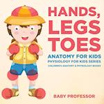 Hands, Legs and Toes Anatomy for Kids