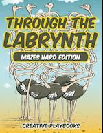 Through the Labyrinth Mazes Hard Edition