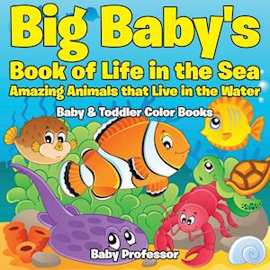 Big Baby's Book of Life in the Sea