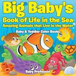 Big Baby's Book of Life in the Sea