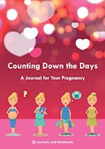 Counting Down the Days - A Journal for Your Pregnancy