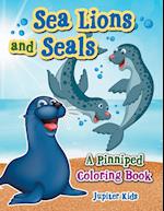 Sea Lions and Seals