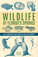 Wildlife of Florida's Springs
