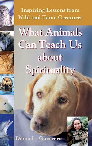 What Animals Can Teach Us About Spirituality