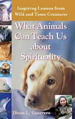 What Animals Can Teach Us About Spirituality