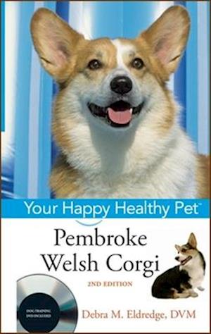 Pembroke Welsh Corgi