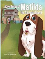 Adventures of Matilda The Bassett Hound