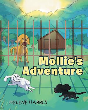 Mollie's Adventure