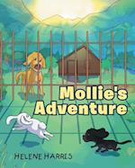 Mollie's Adventure