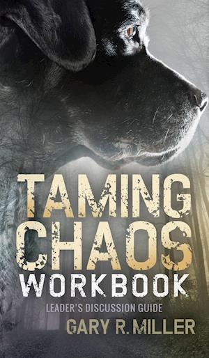 Taming Chaos Workbook