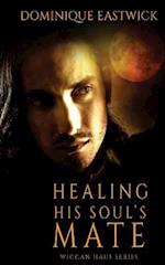 Healing His Soul's Mate