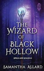 The Wizard of Black Hollow