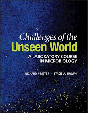 Challenges of the Unseen World