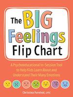 The Big Feelings Flip Chart