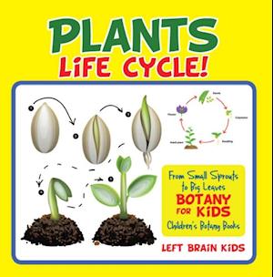 Plant's Life Cycle! From Small Sprouts to Big Leaves - Botany for Kids - Children's Botany Books