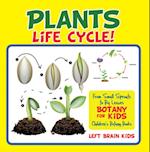 Plant's Life Cycle! From Small Sprouts to Big Leaves - Botany for Kids - Children's Botany Books