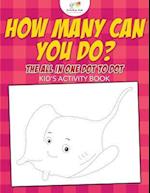 How Many Can You Do? the All in One Dot to Dot Kid's Activity Book