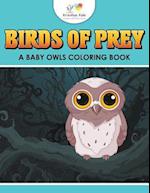 Birds of Prey: A Baby Owls Coloring Book 