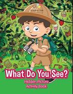 What Do You See? Hidden Picture Activity Book