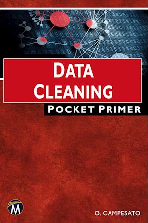 Data Cleaning