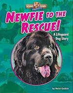 Newfie to the Rescue!