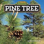 Pine Tree