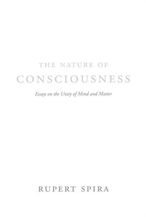 Nature of Consciousness