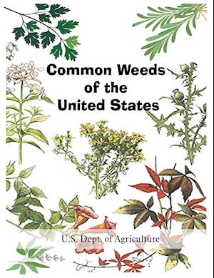 Common Weeds of the United States