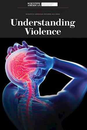 Understanding Violence