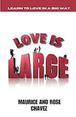 Love Is Large: Learning To Love In A Big Way 