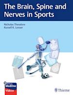 The Brain, Spine and Nerves in Sports