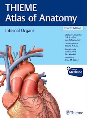 Internal Organs (Thieme Atlas of Anatomy)