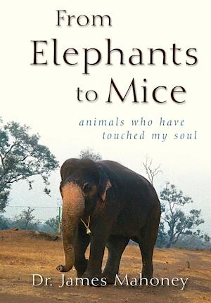 From Elephants to Mice