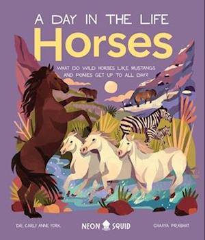 Horses (a Day in the Life)