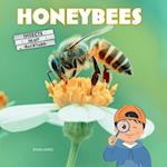 Honeybees